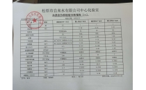 水質(zhì)全分析檢驗(yàn)分析報(bào)告